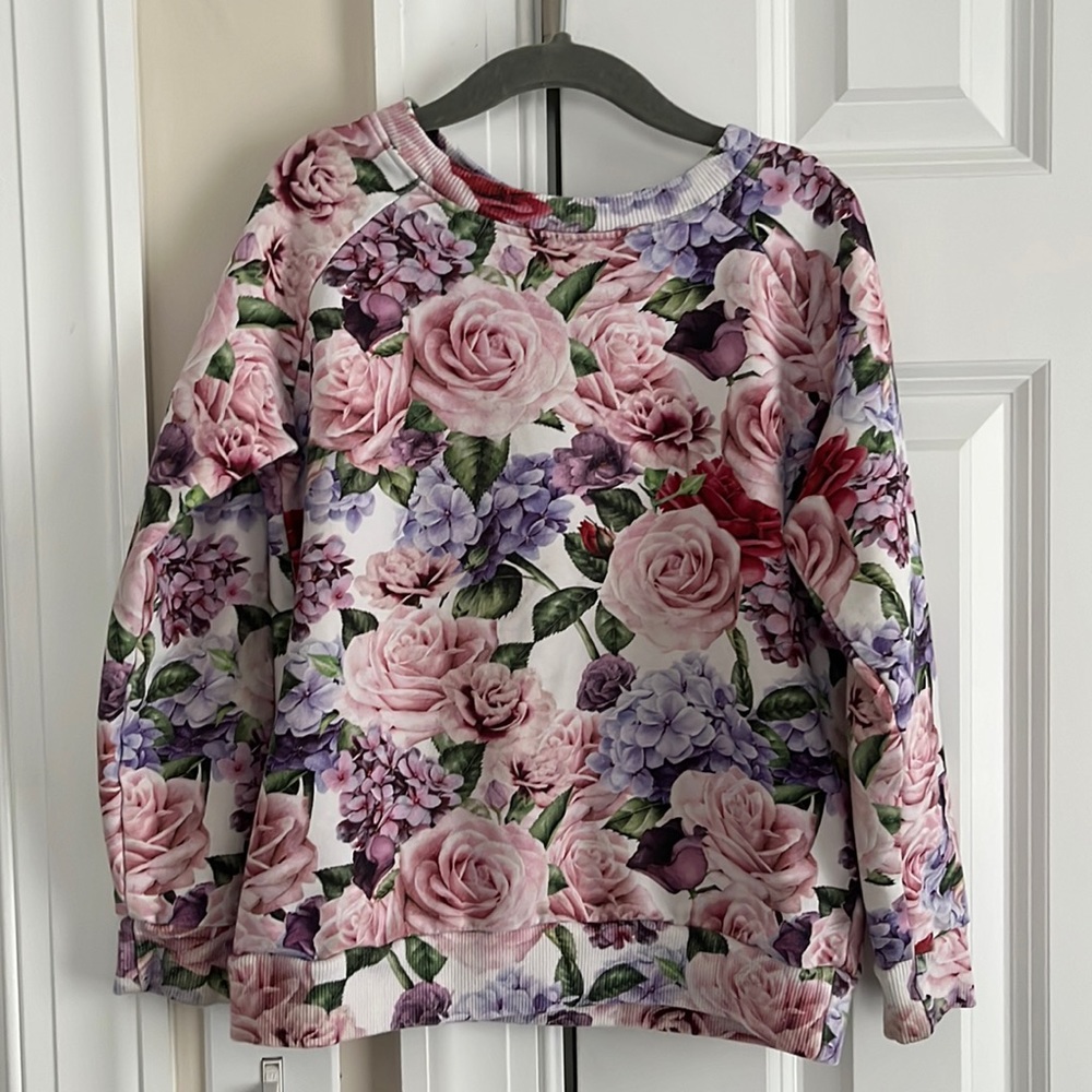 Romey Loves Lulu Screen Print Floral Sweatshirt 6